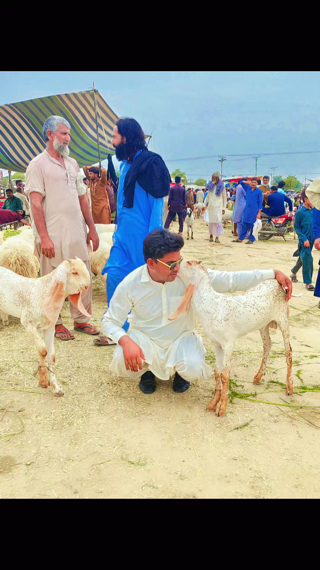 @qavi tum Pakistani