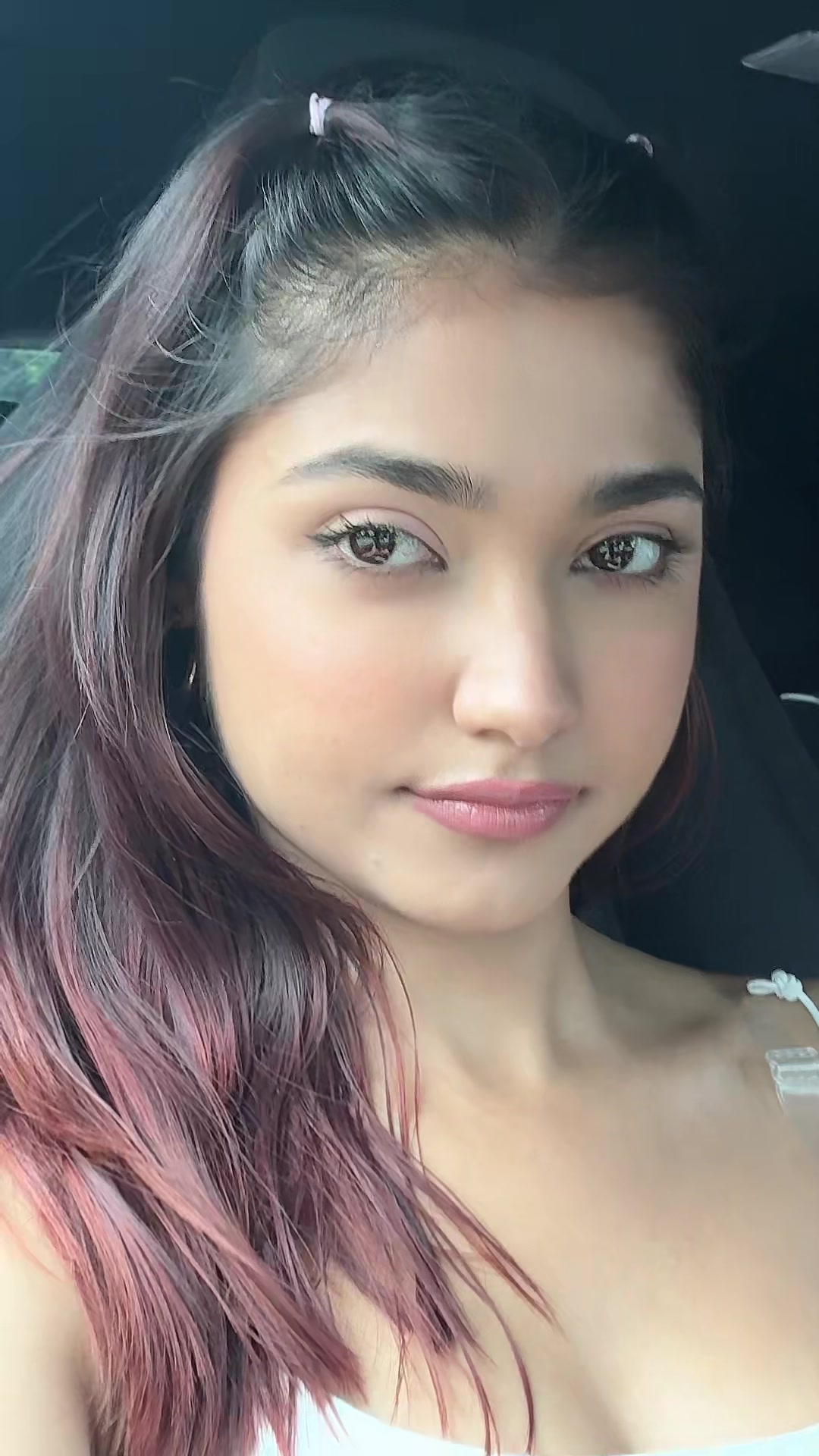 @elani muller