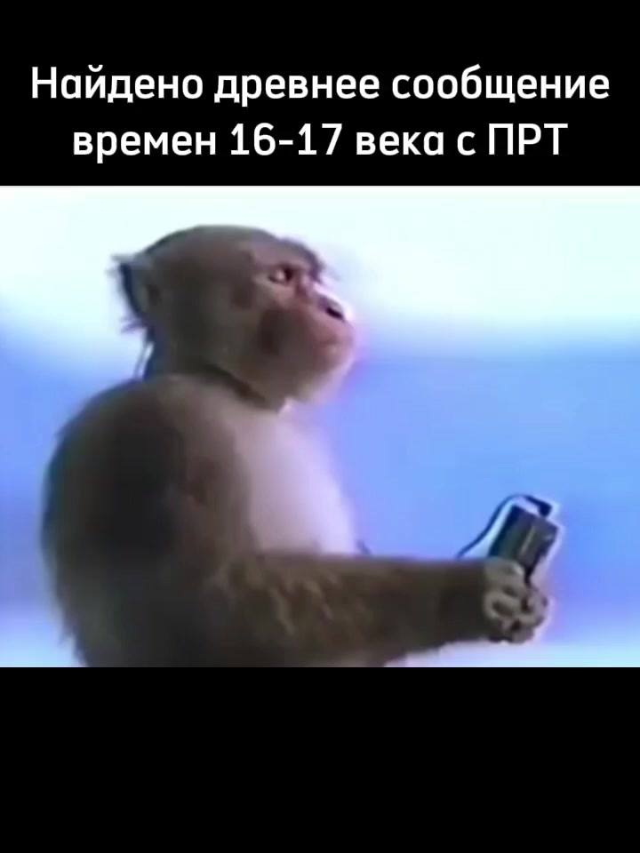 @авокадыш!
