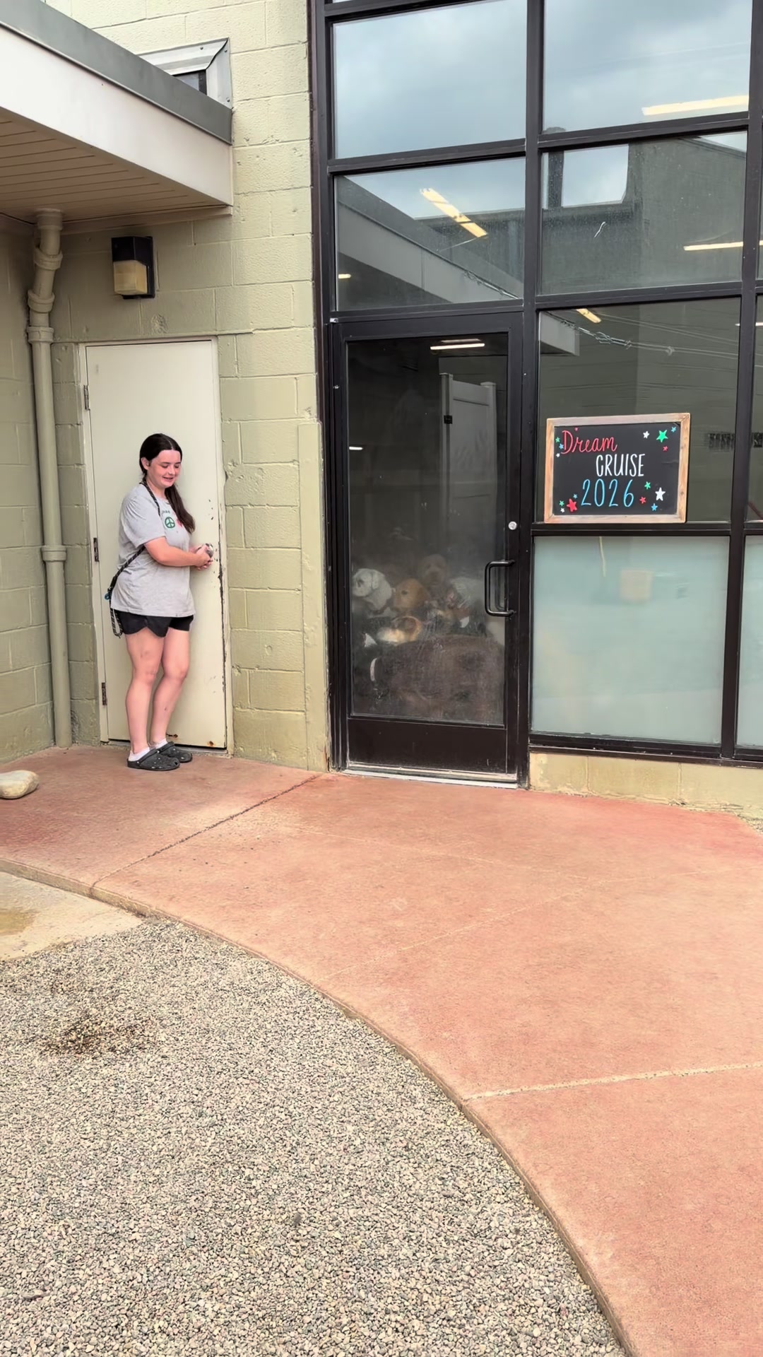 @Doggieinthewindow