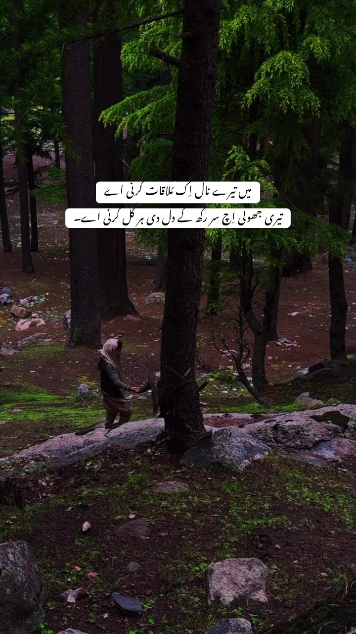 @QEERAT AKHTAR RAJPOOT.