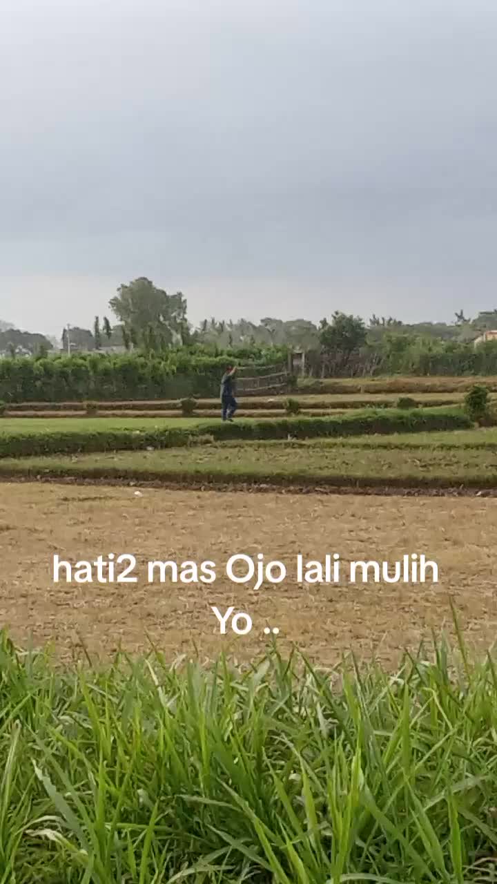 @Genoll