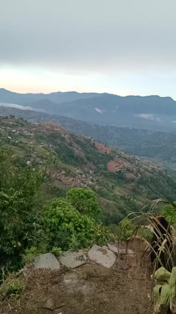 @niroj ghimire (माईला ✅)
