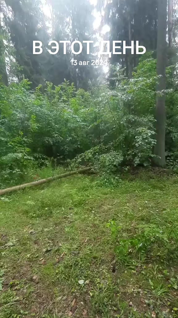 @Александр