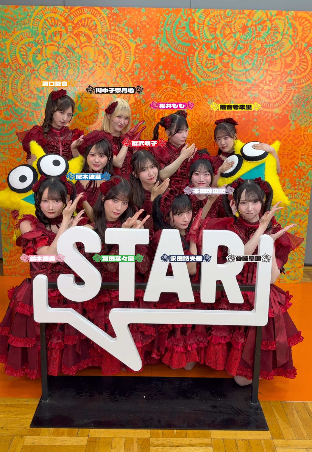 @ノイミーTikTok