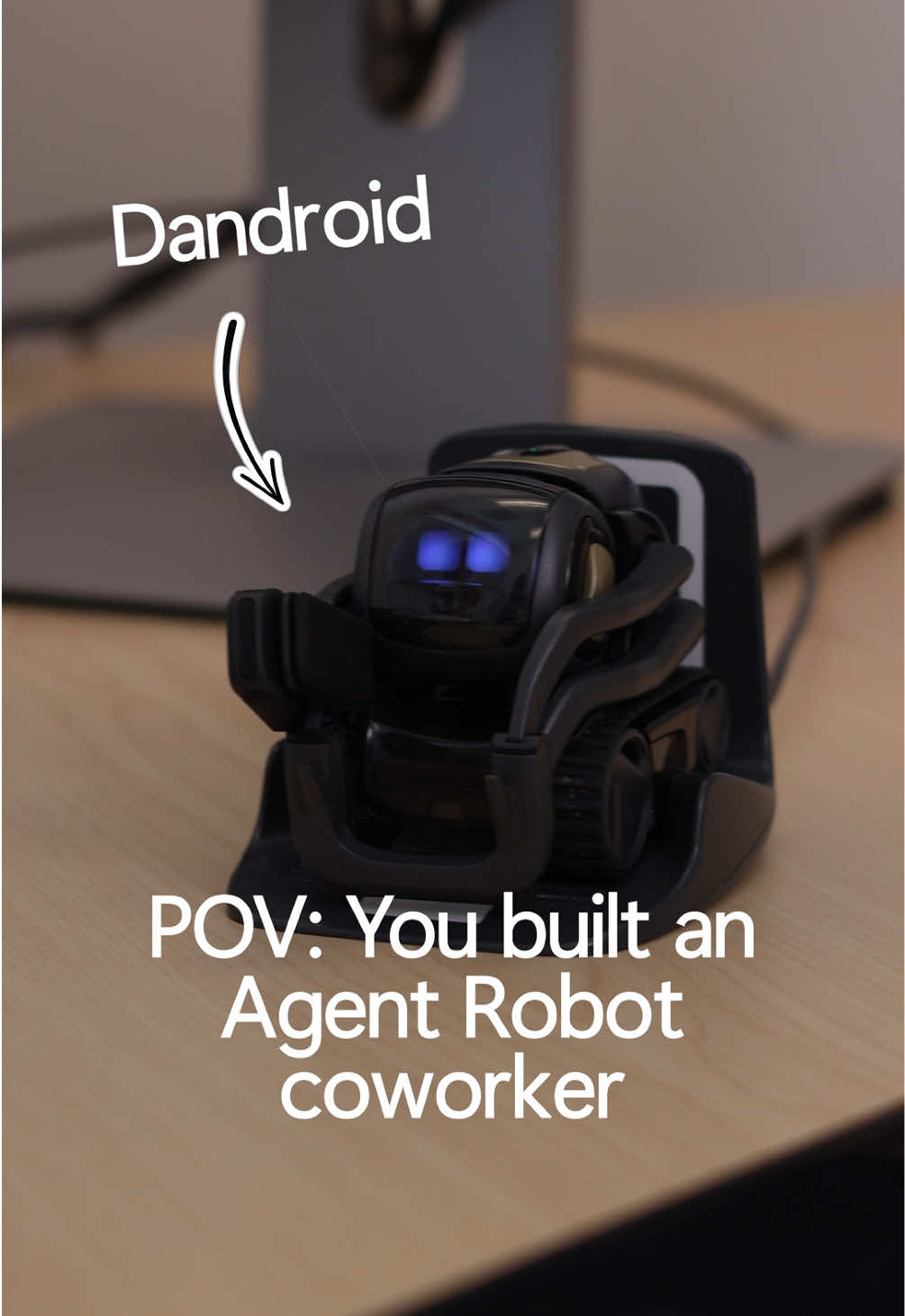 @Microsoft Developer