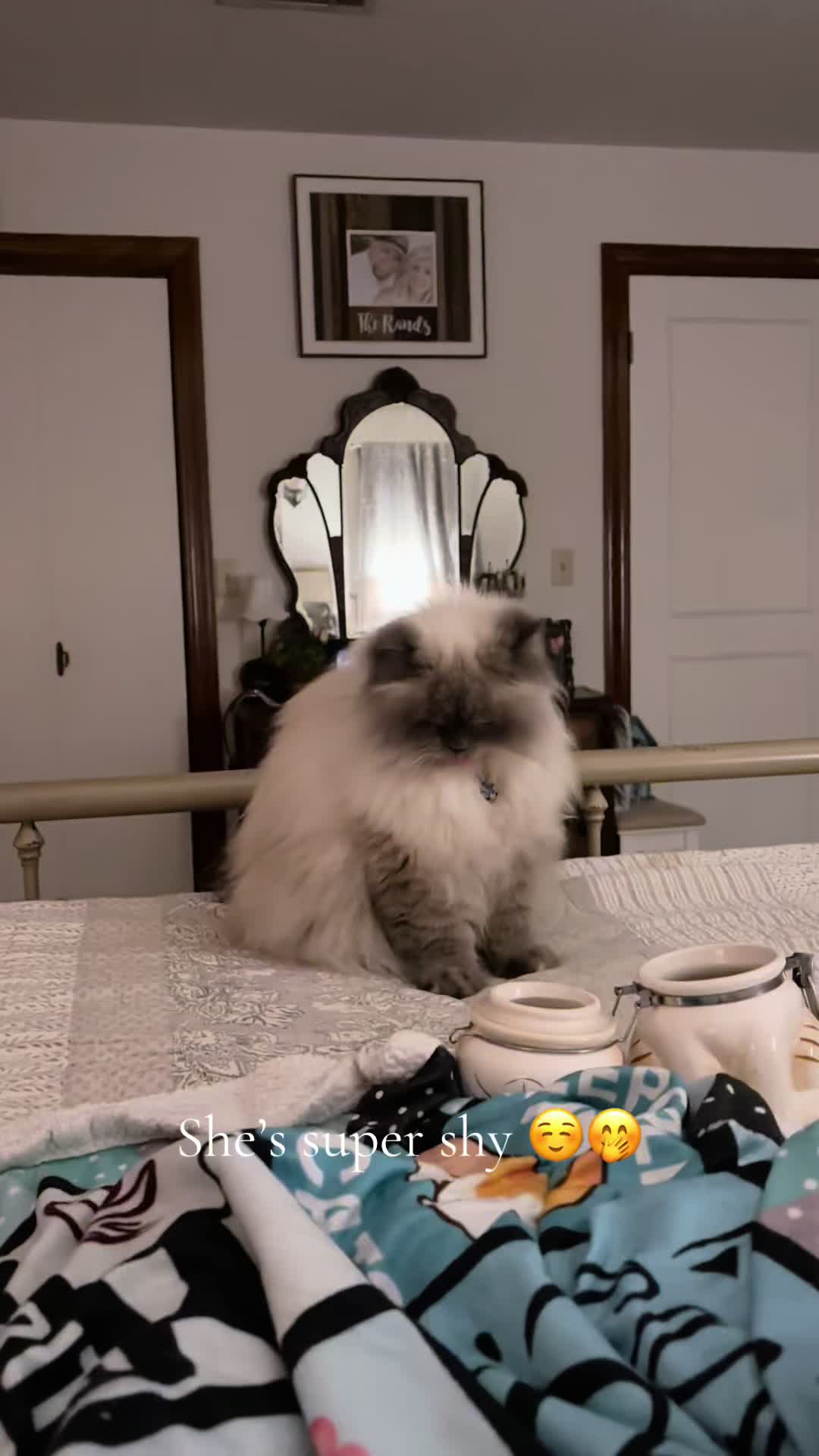 @𓃠Melissa’s10Fluffs𓃠