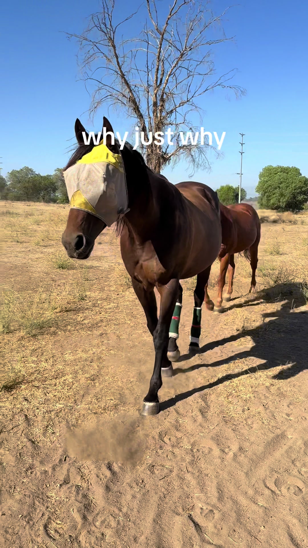 @et.eventing