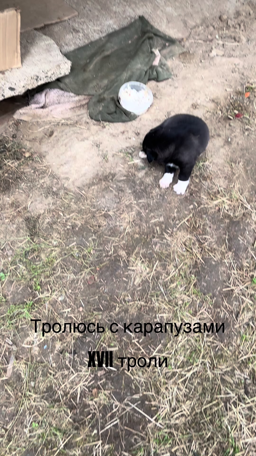 @QgZD5🩸😴