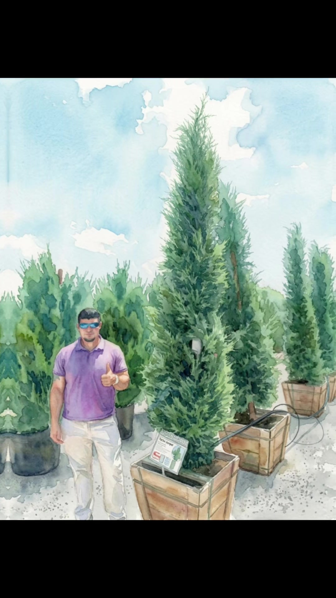 @Three Vines Landscaping