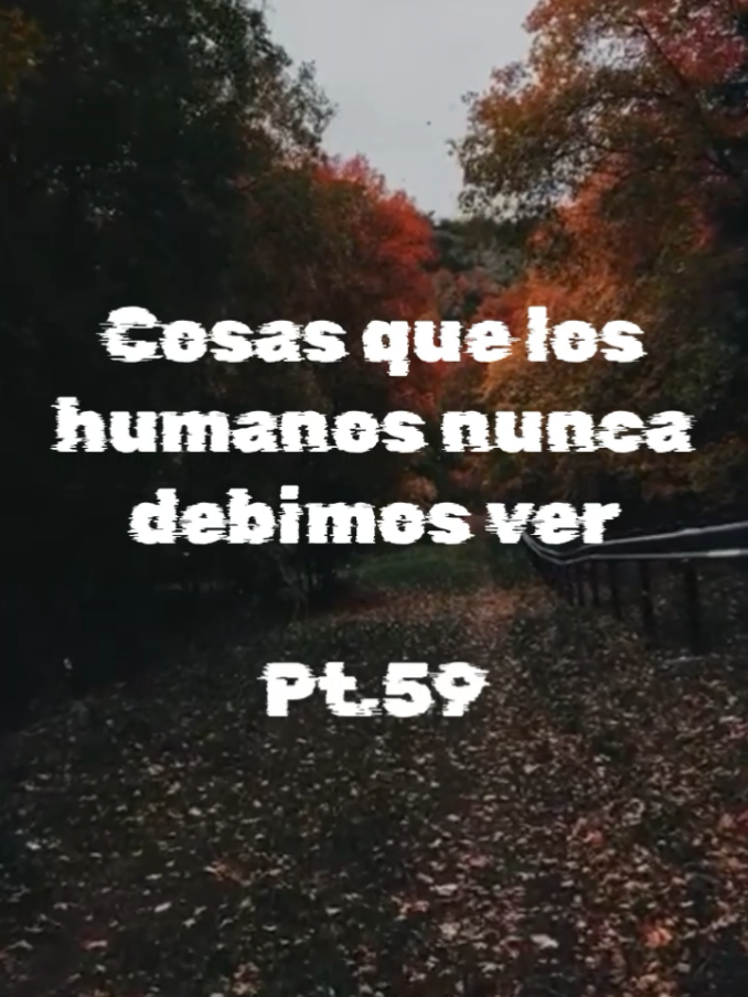@Categorías Máster