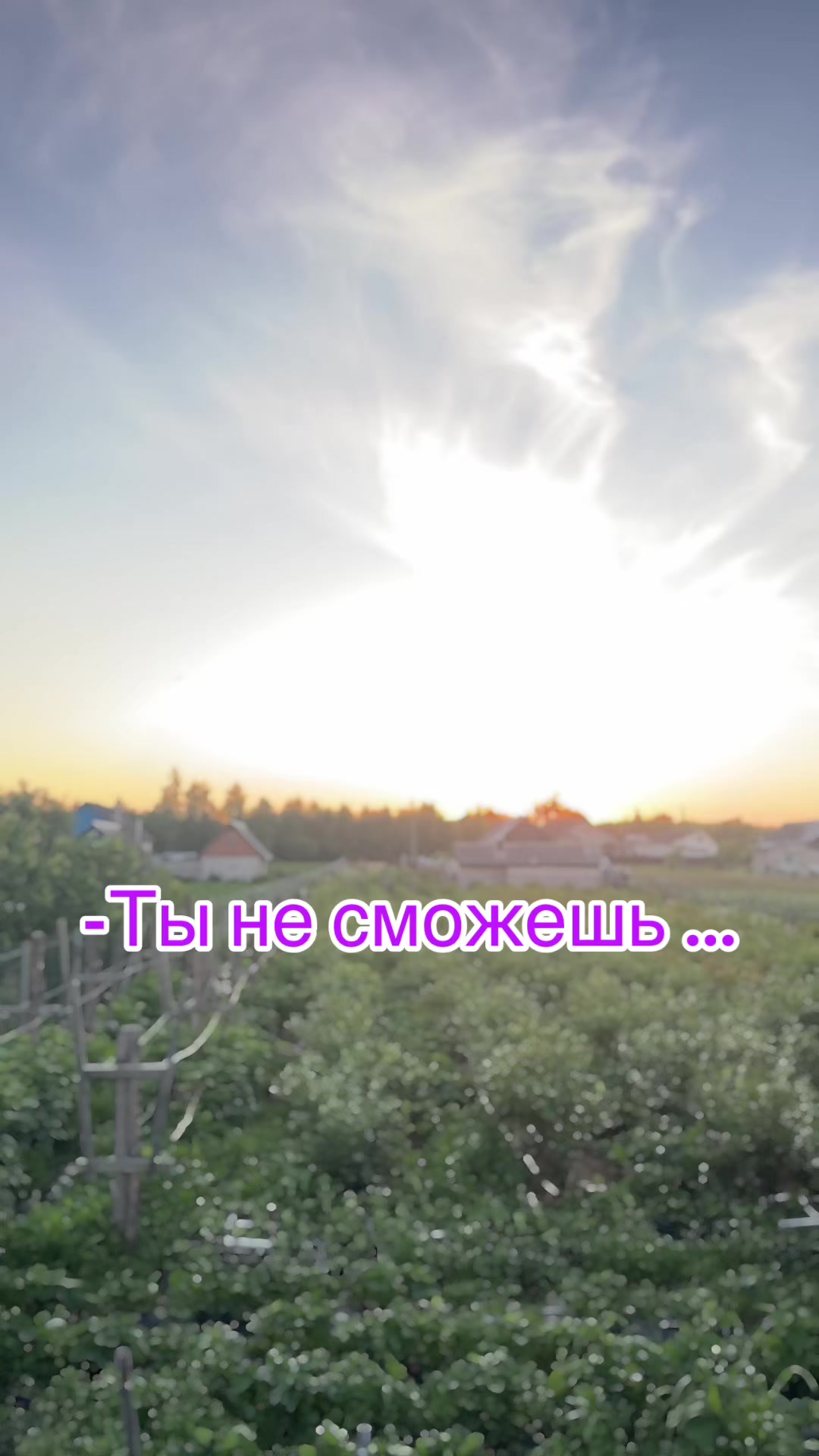 @Данута Манюк