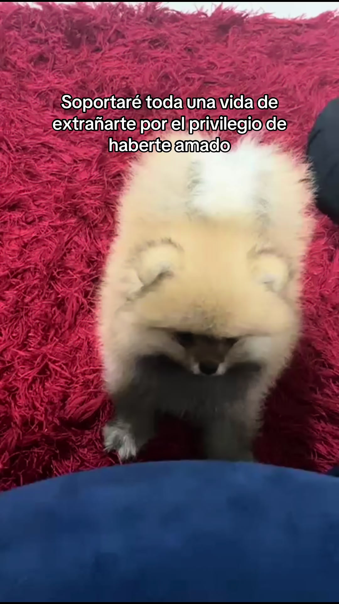 @Marisol MV