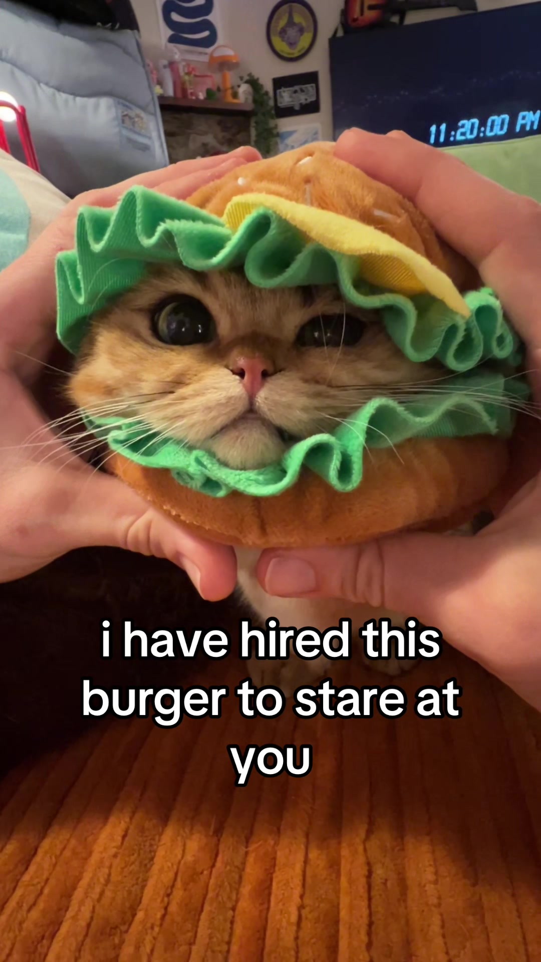 @honey butter chicken biscuit