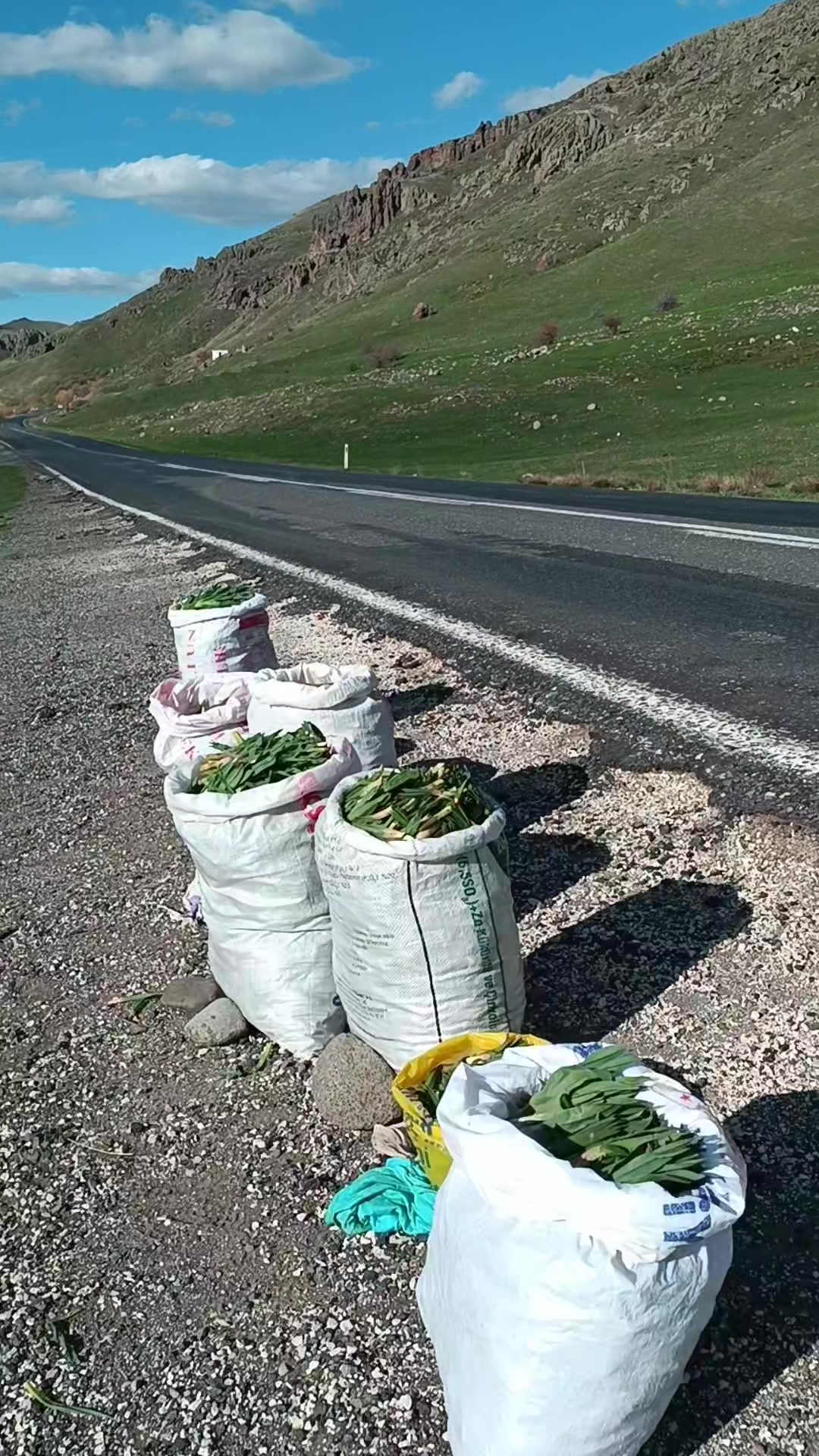 @&Ouml;zkan Boz☑️