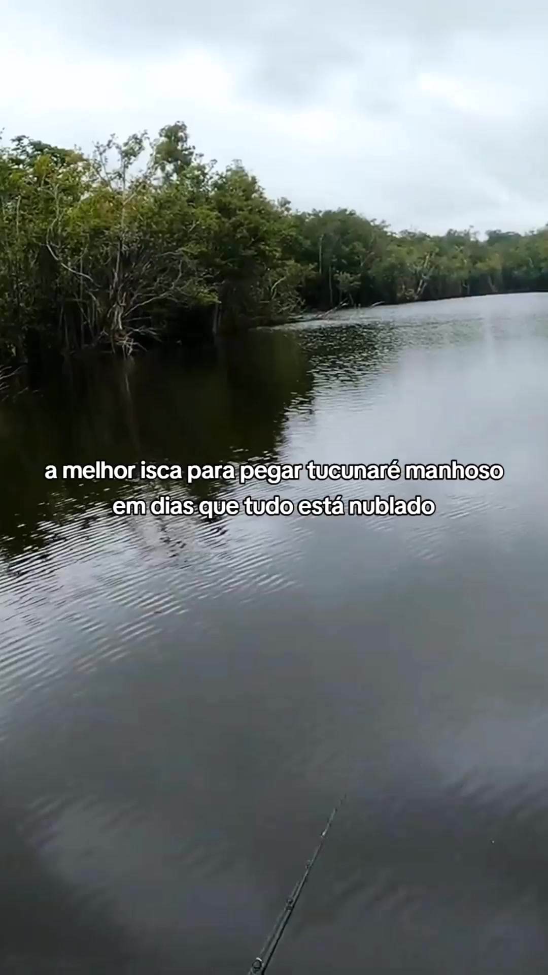 @Pesca Careiro