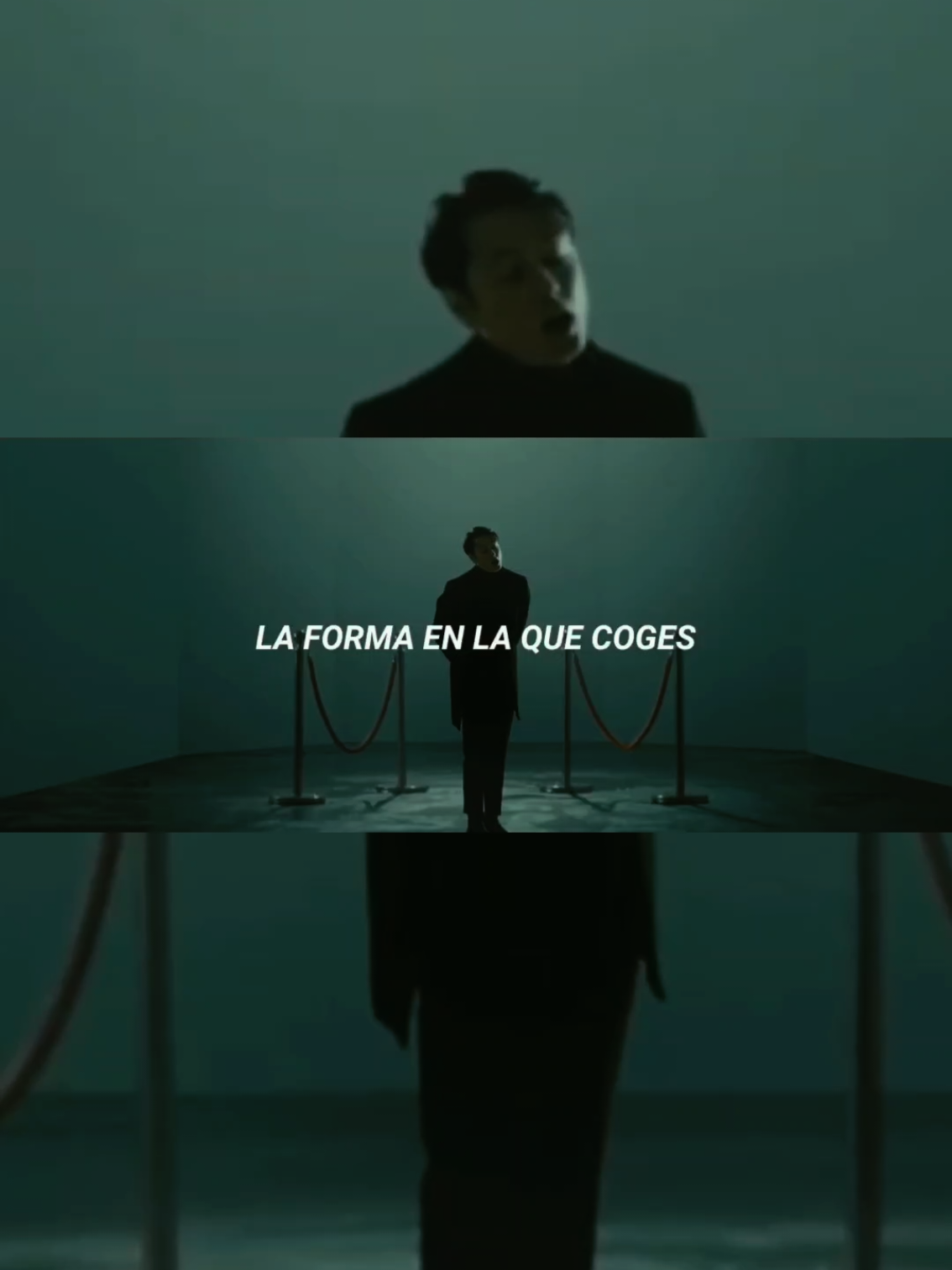 @Armando Velázquez Camarillo