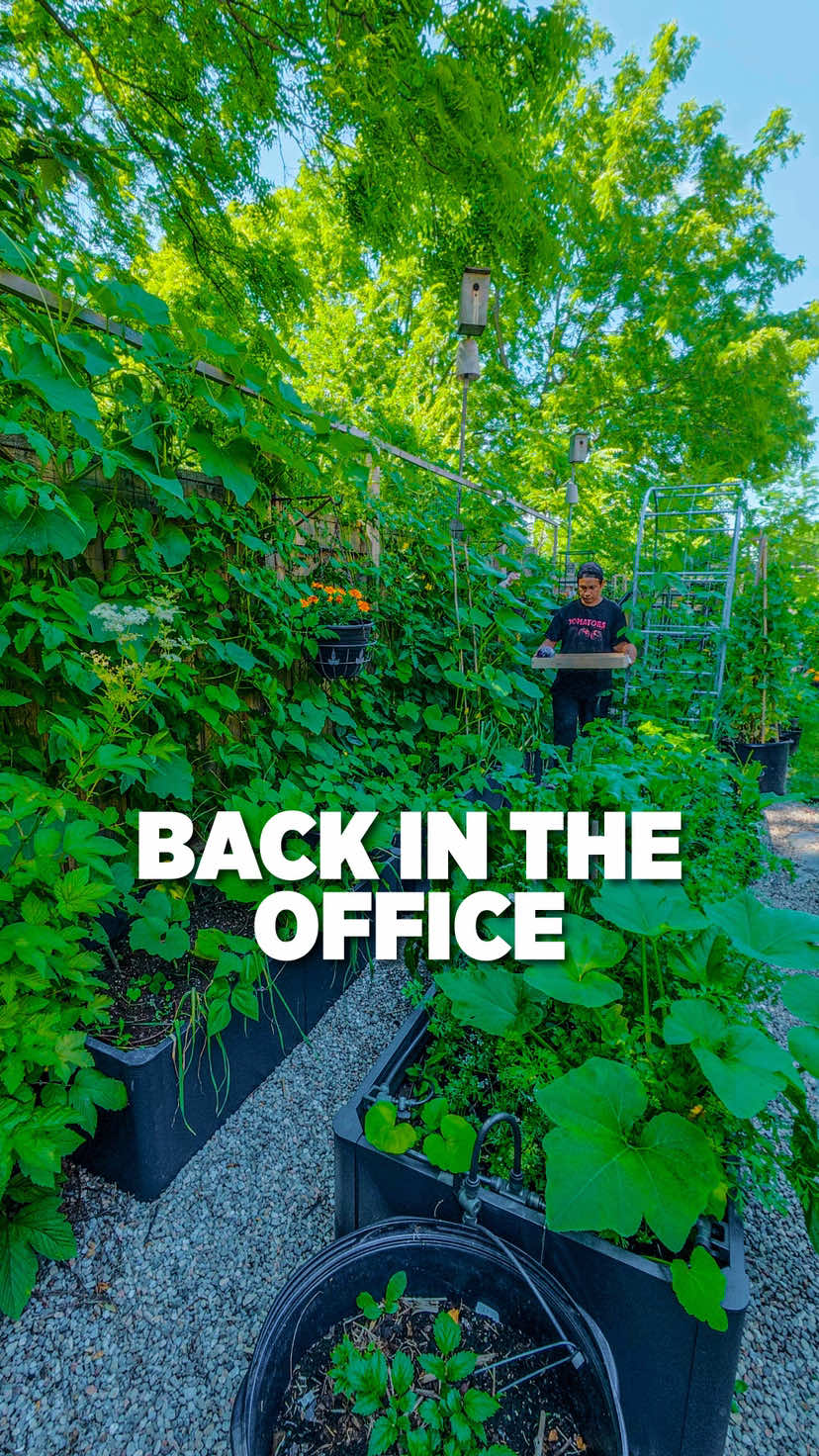 @Planted in the Garden