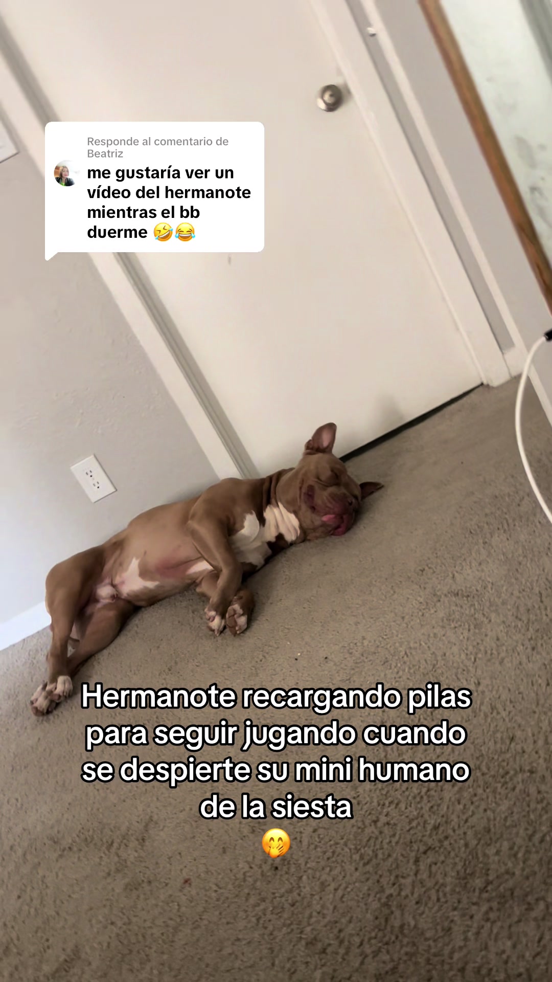 @Itzel ✨