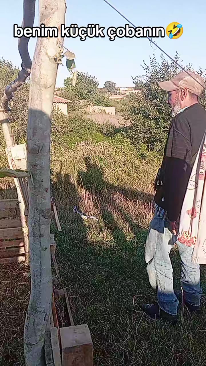 @Y&uuml;kte &Ouml;zl&uuml;yorum