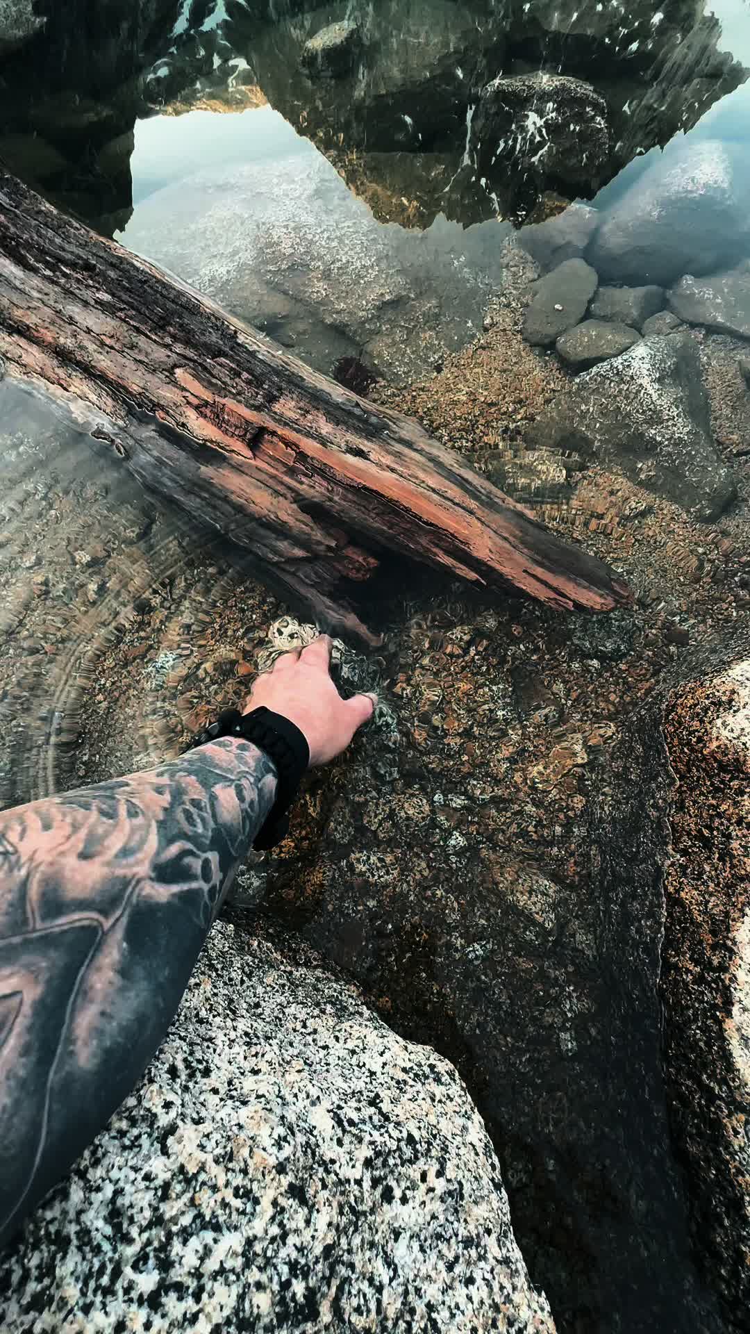 @🌲 James | WA 🏔️