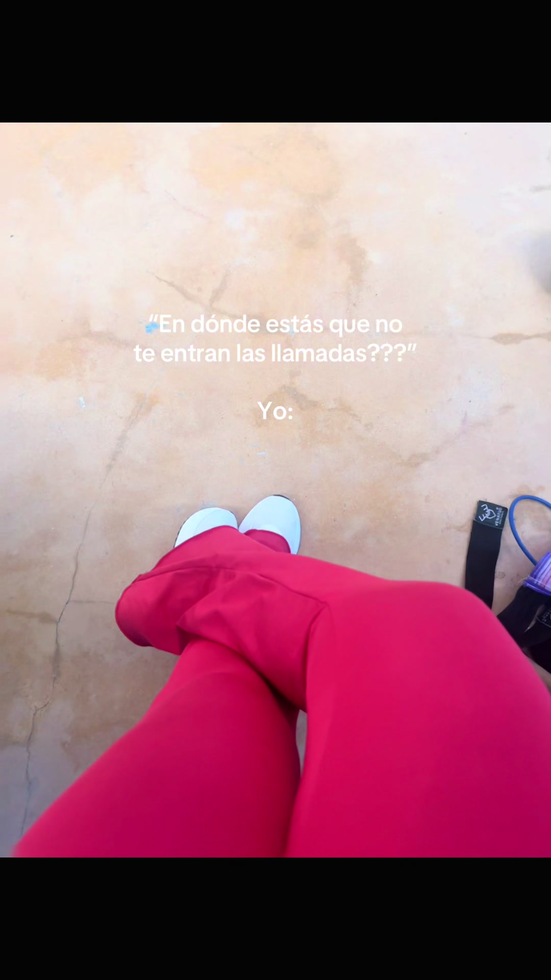 @sol olea
