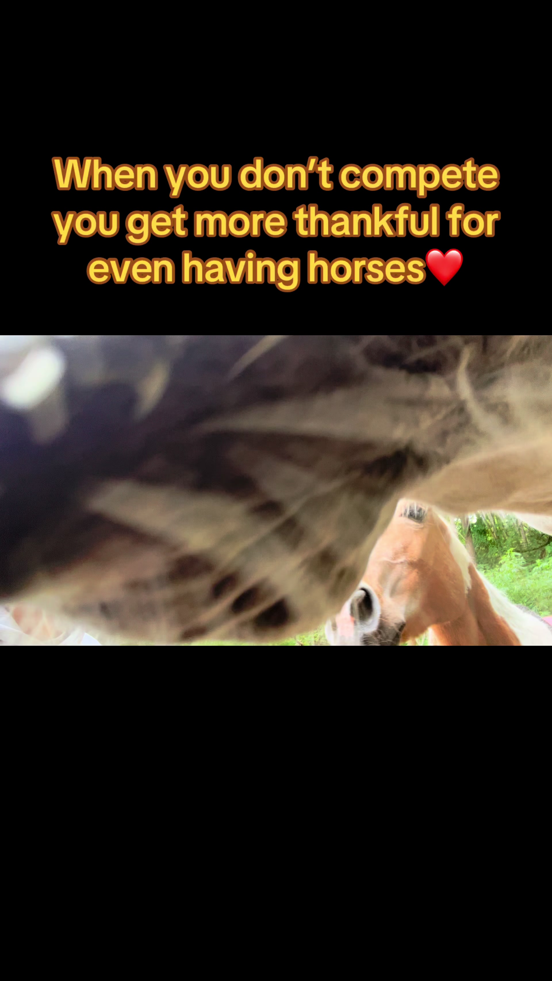 @Lynsie