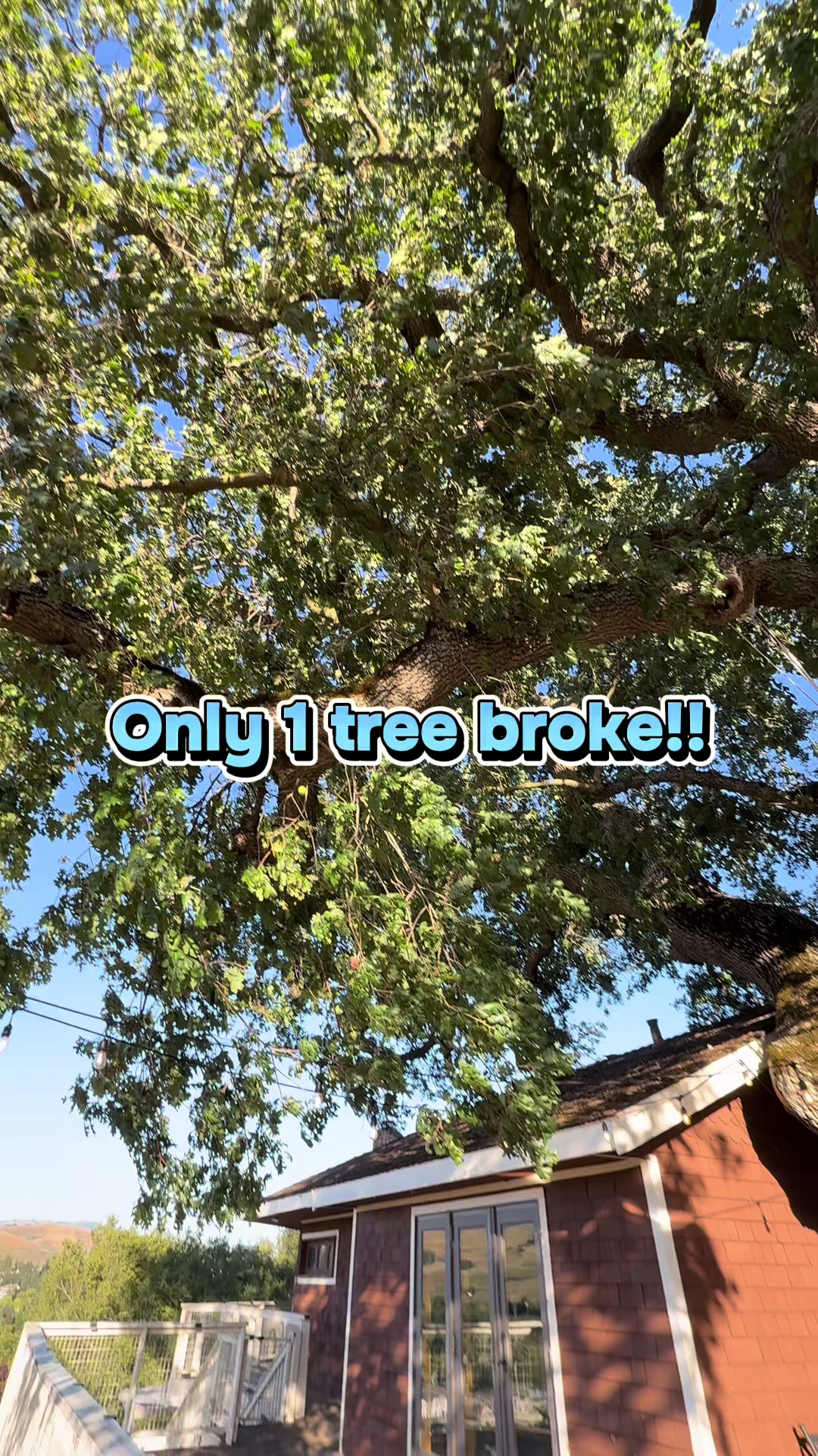 @justmicaellahere