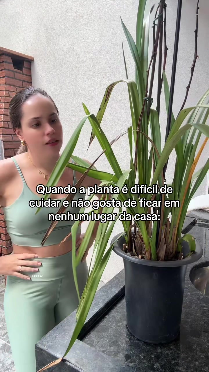 @J&uacute;lia Garcia