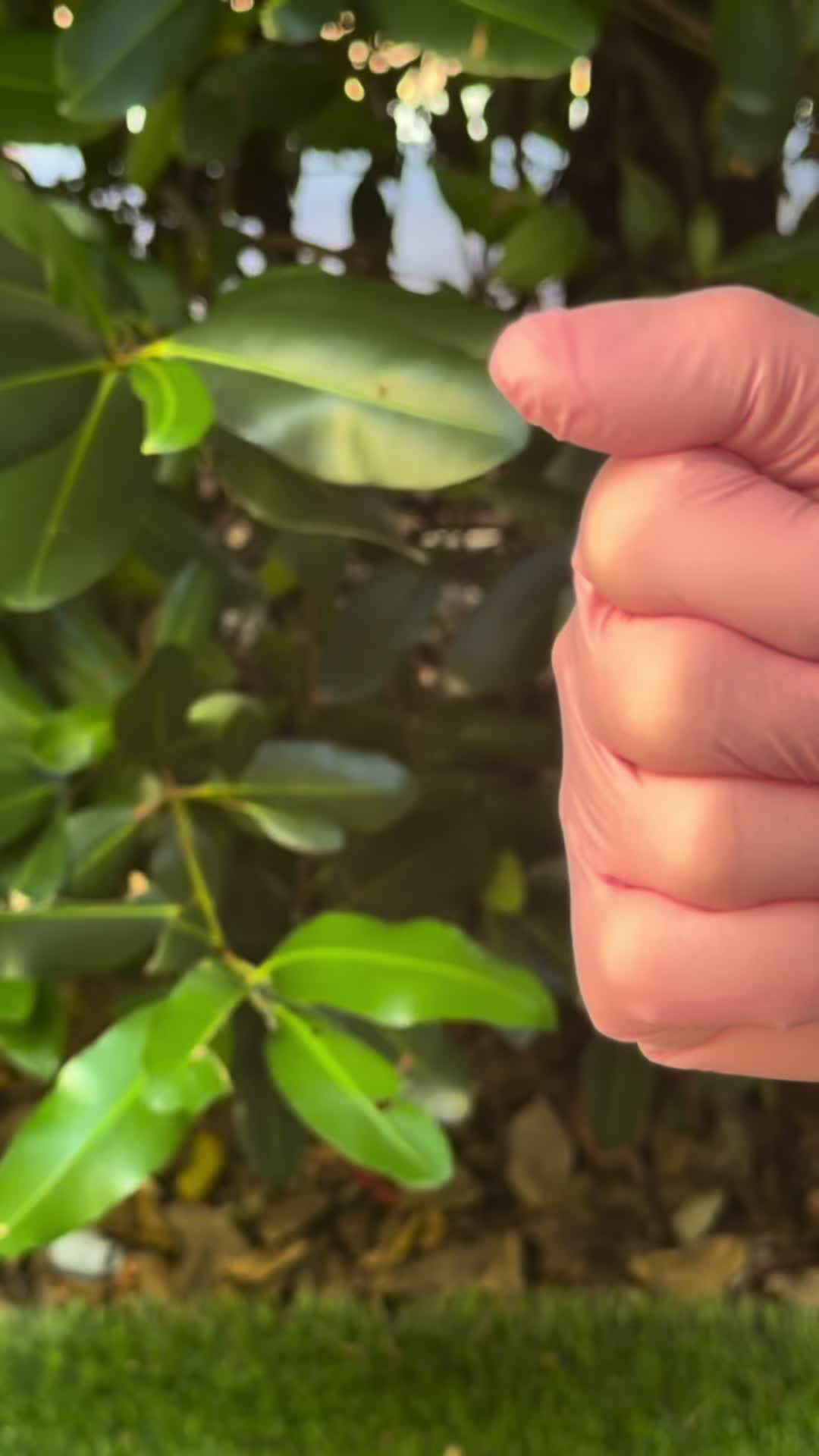 @BioAesthetic305