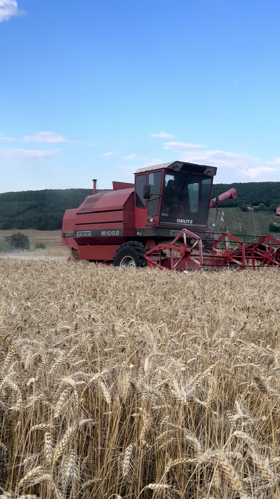 @Farmer”bigboss”03