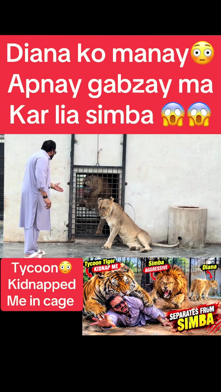@Mian saqib
