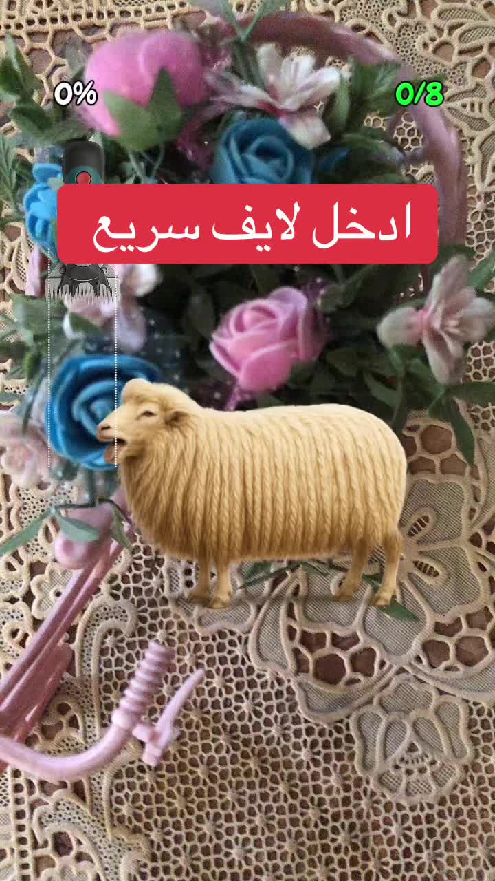 @noeral88