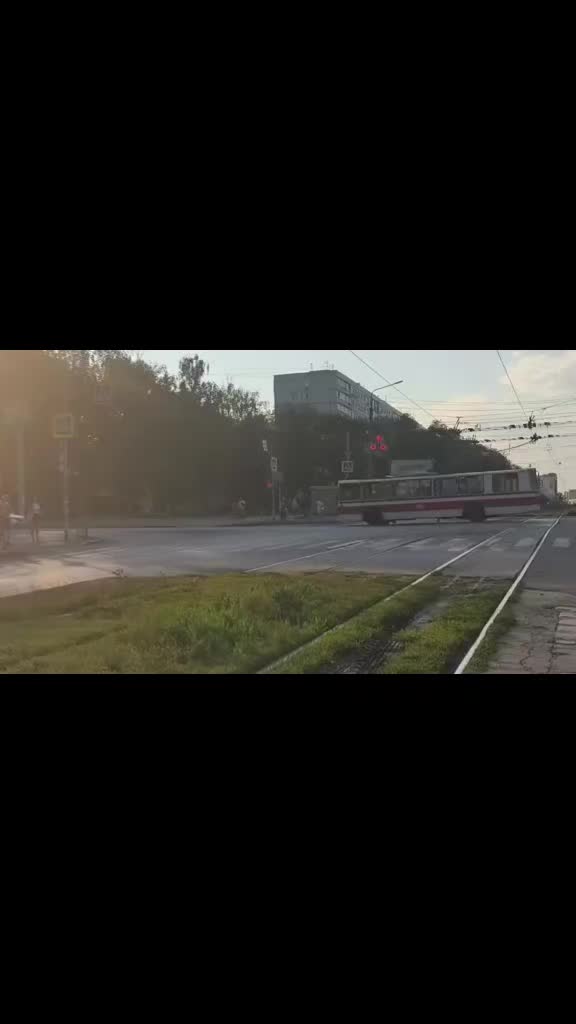 @ПСЫЖ_НАСТОЯЩИ
