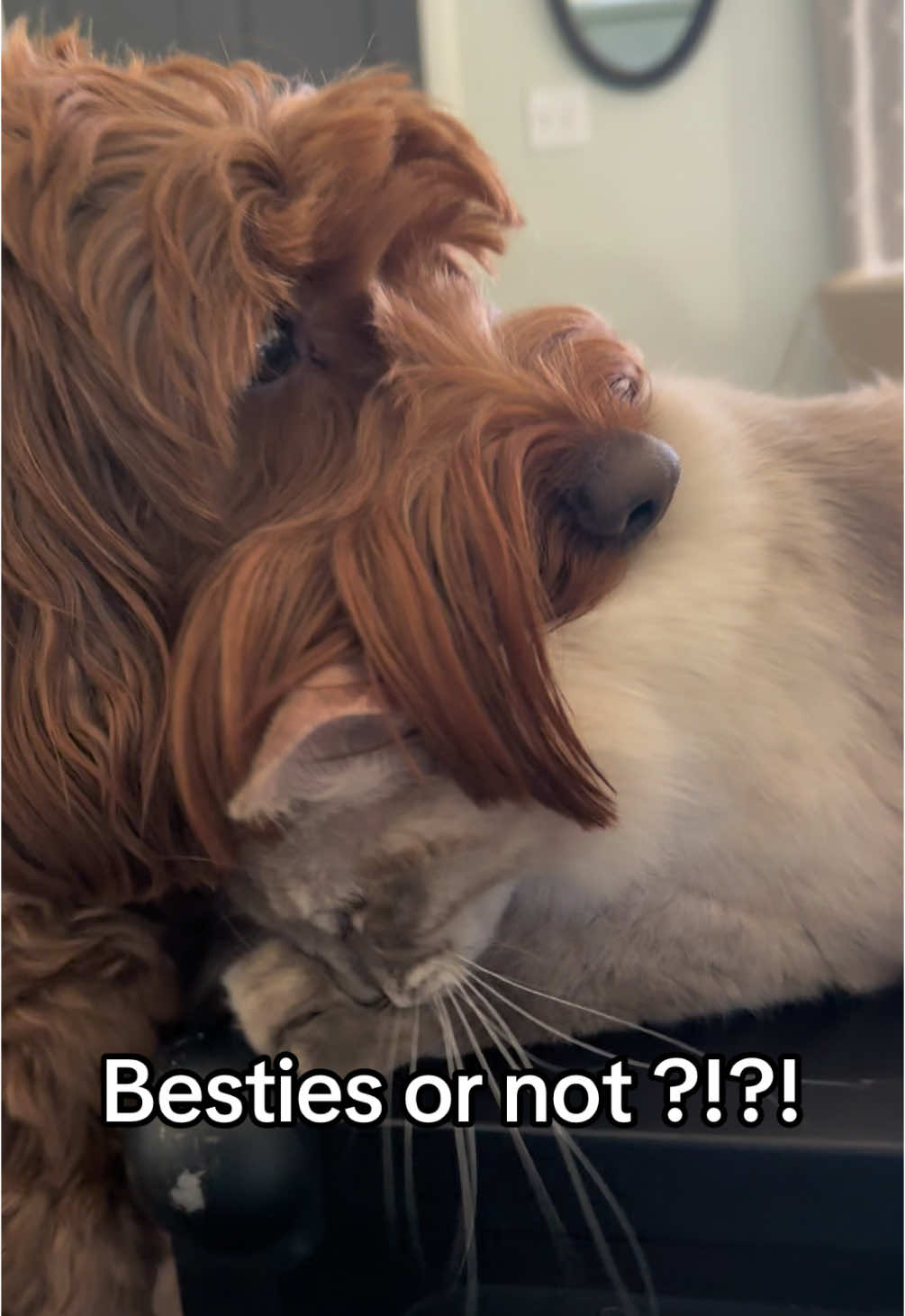 @Dash & Nora