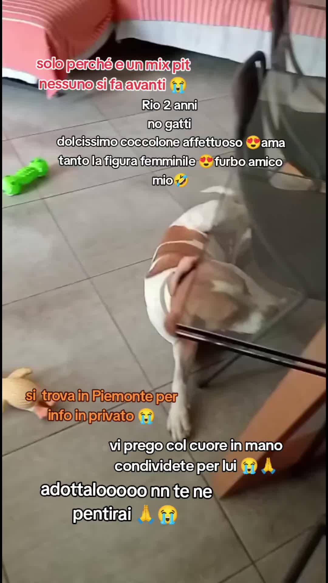 @KIRA❤️LEYLA💙