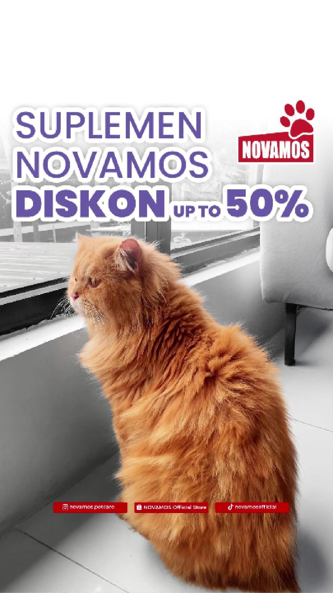 @Novamos Official Store