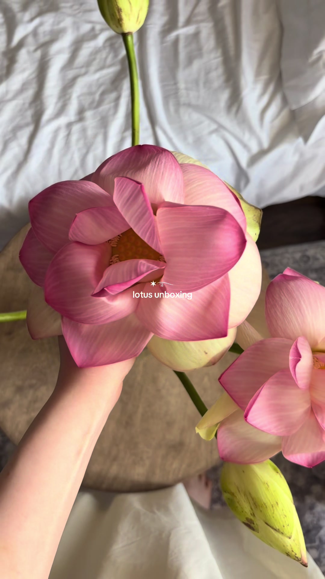 @yoonie ₊˚⊹♡