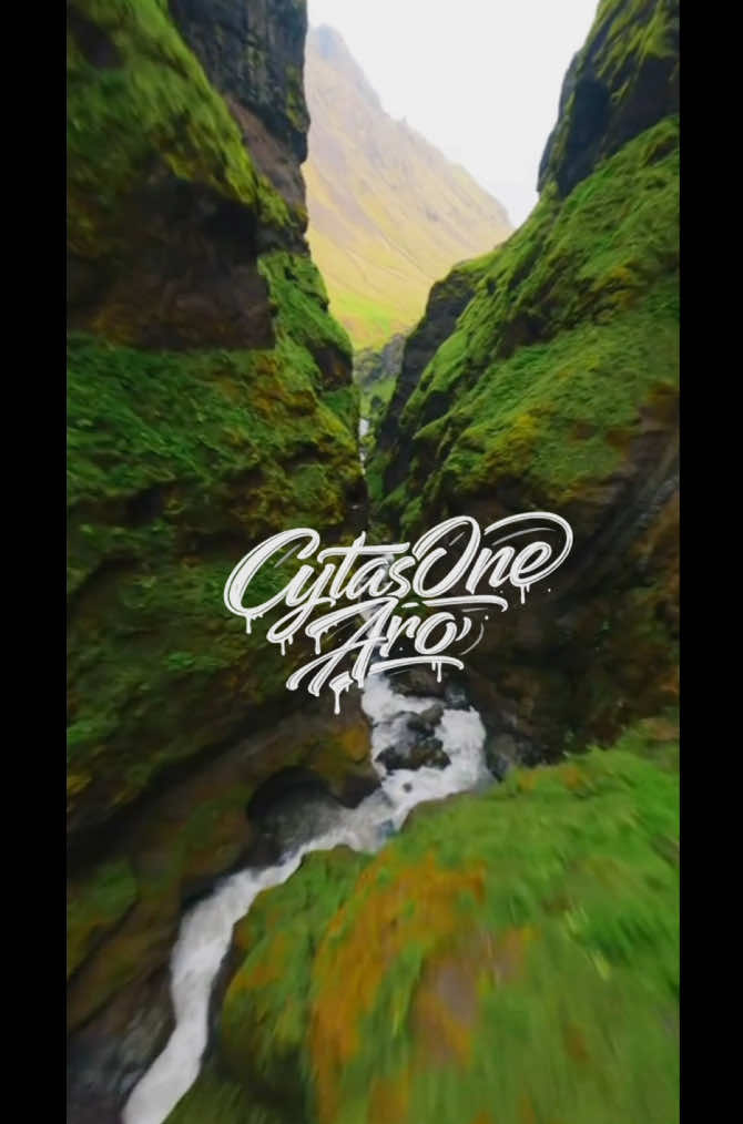 @Cytas_One