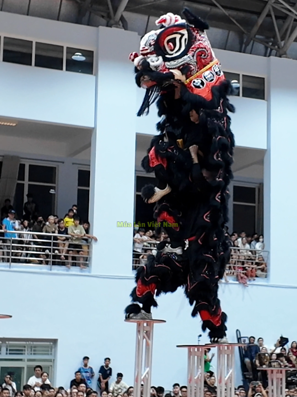 @M&uacute;a L&acirc;n Việt Nam 🇻🇳