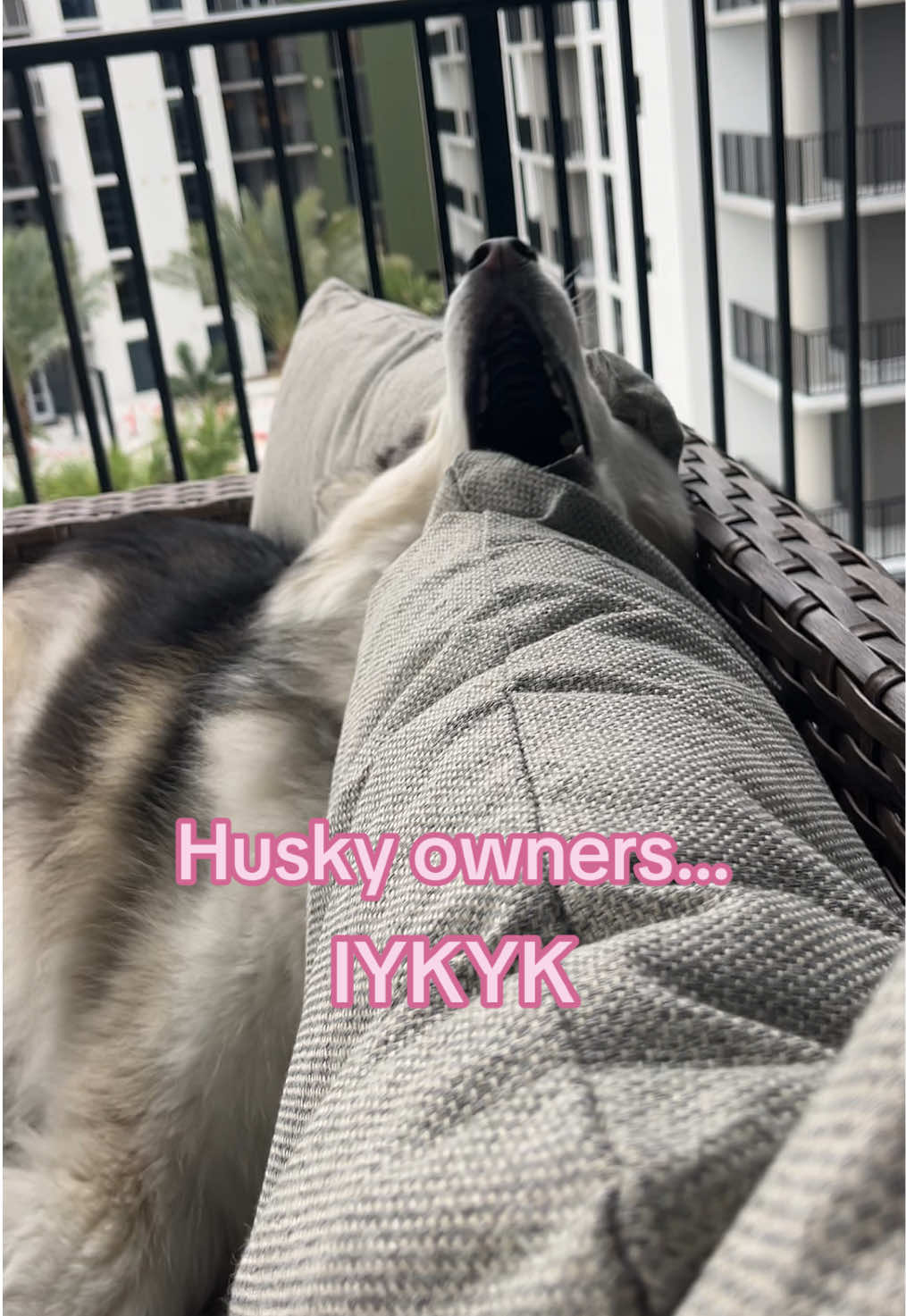 @Winnie & Wookie🐾