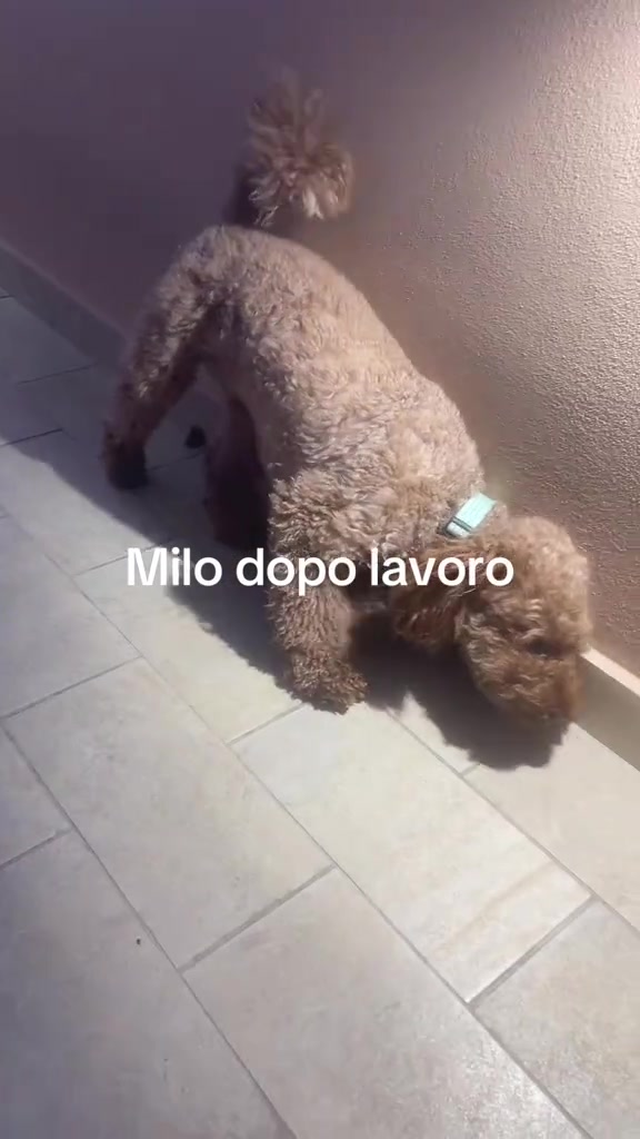 @patrizia