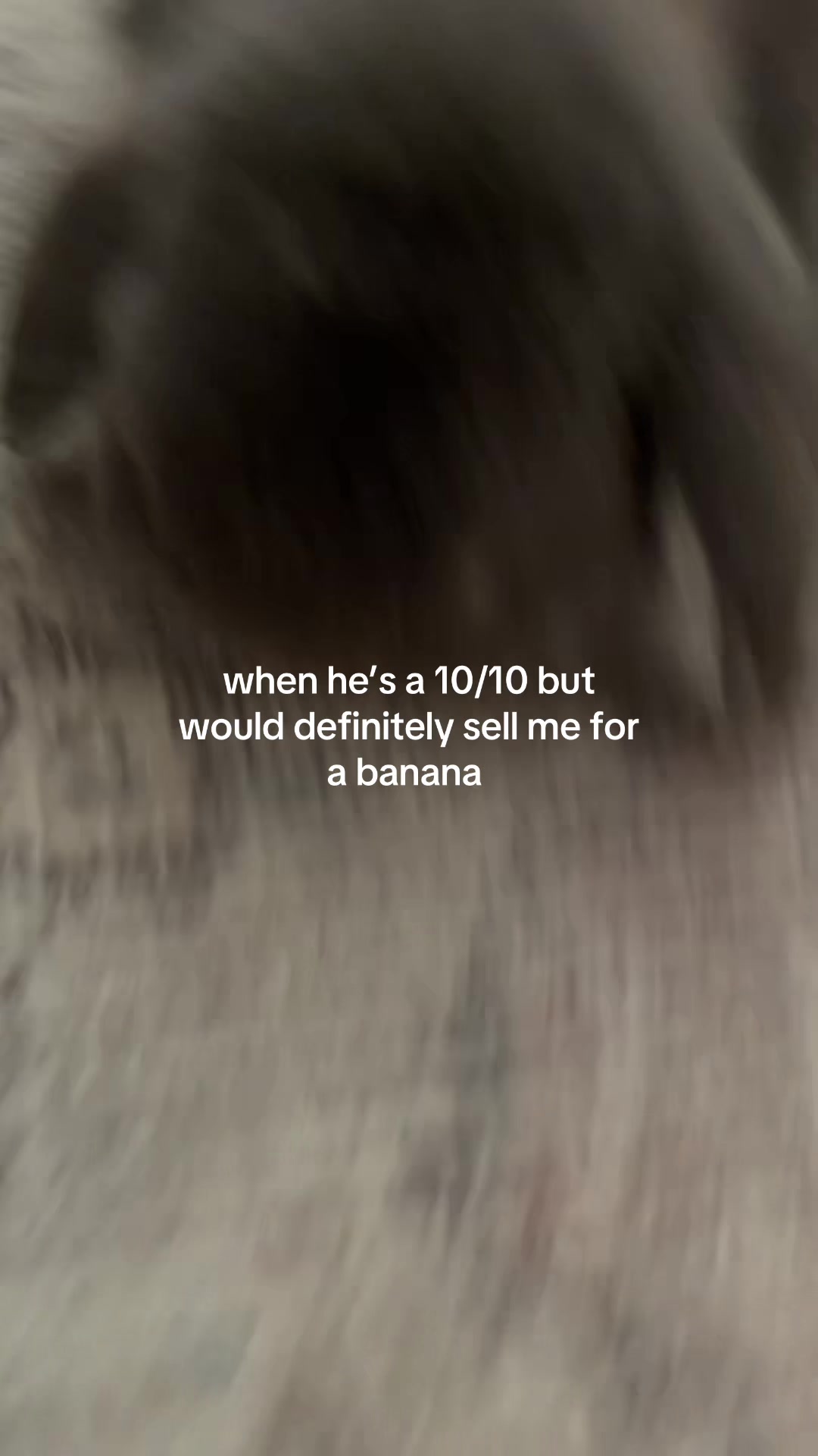 @sophlococo