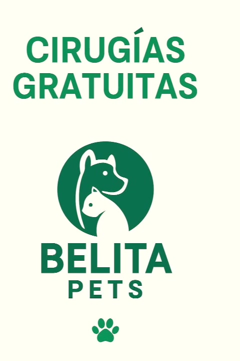 @BelitaPets
