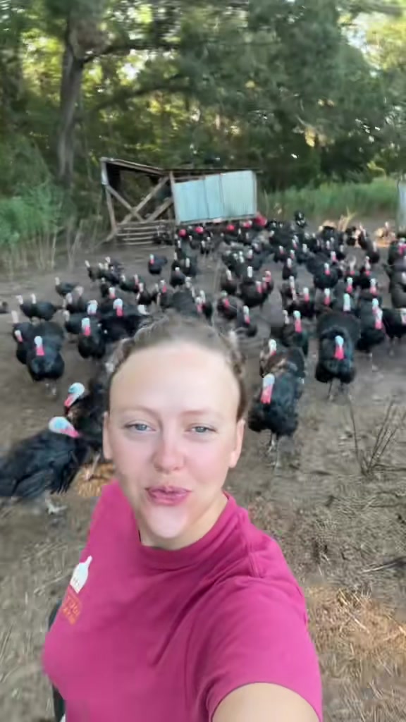 @farmerandtheharpiist