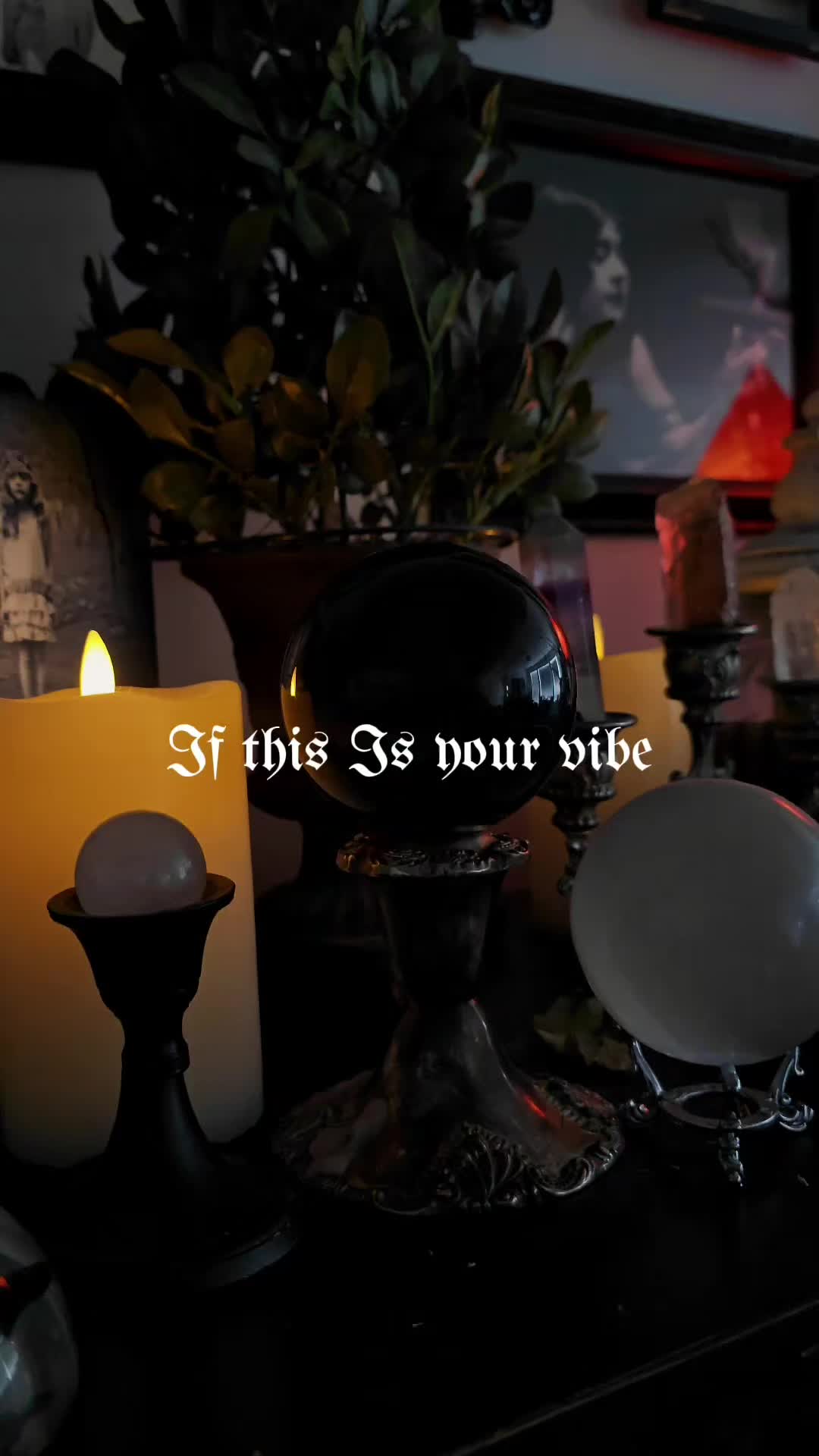 @🌙Mystic𝕸𝖎𝖘𝖋𝖎𝖙 𝕸𝖔𝖓𝖎