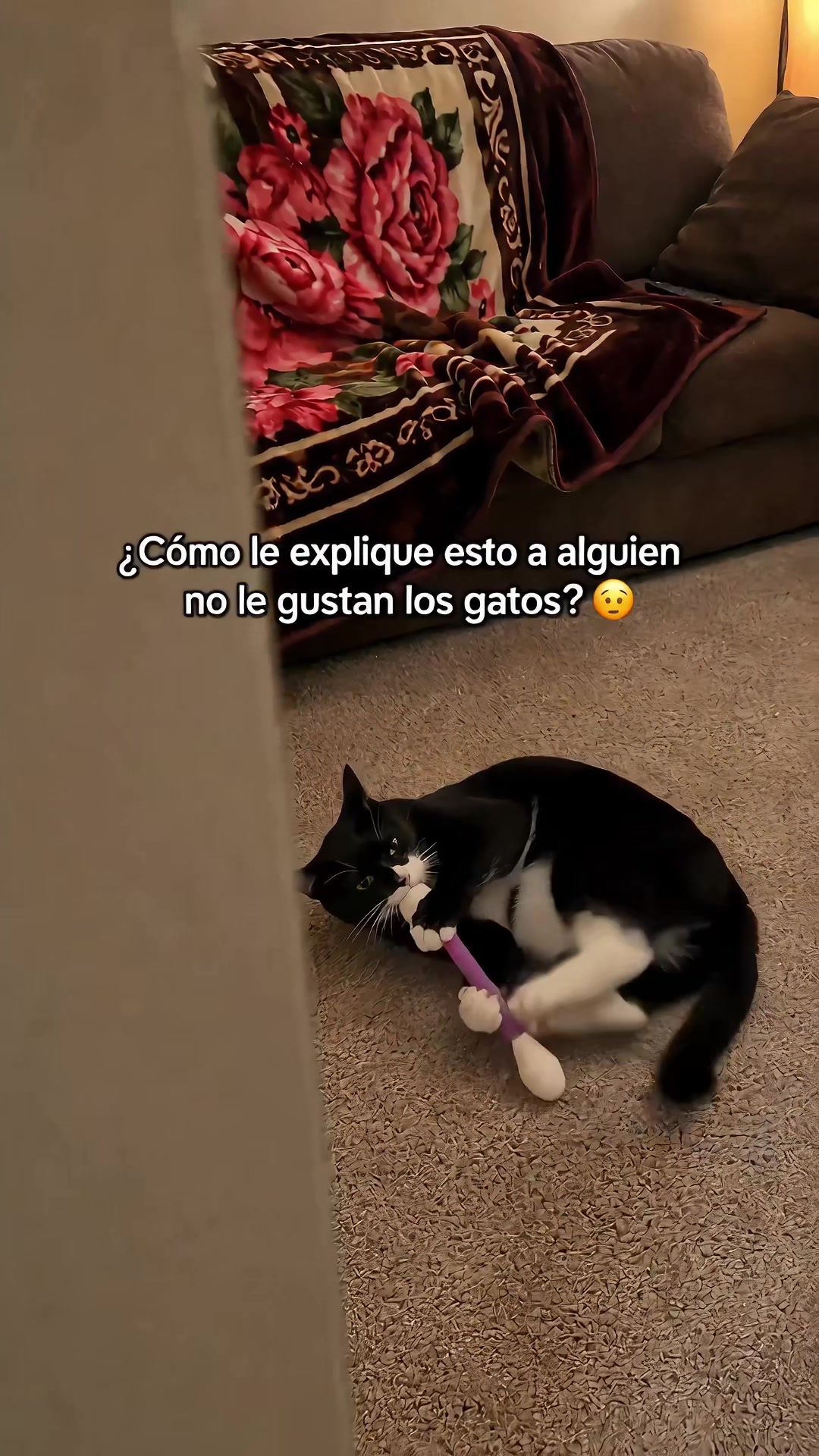 @Angela