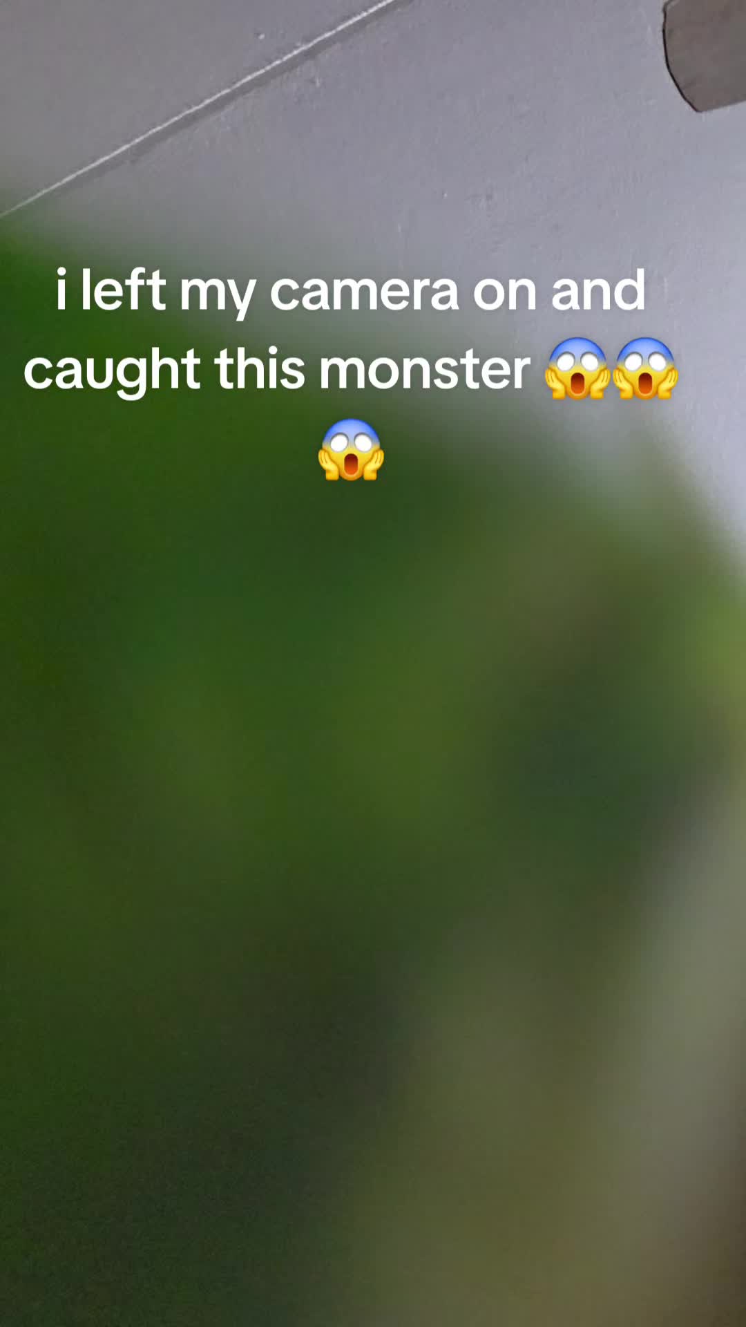 @HASAGI