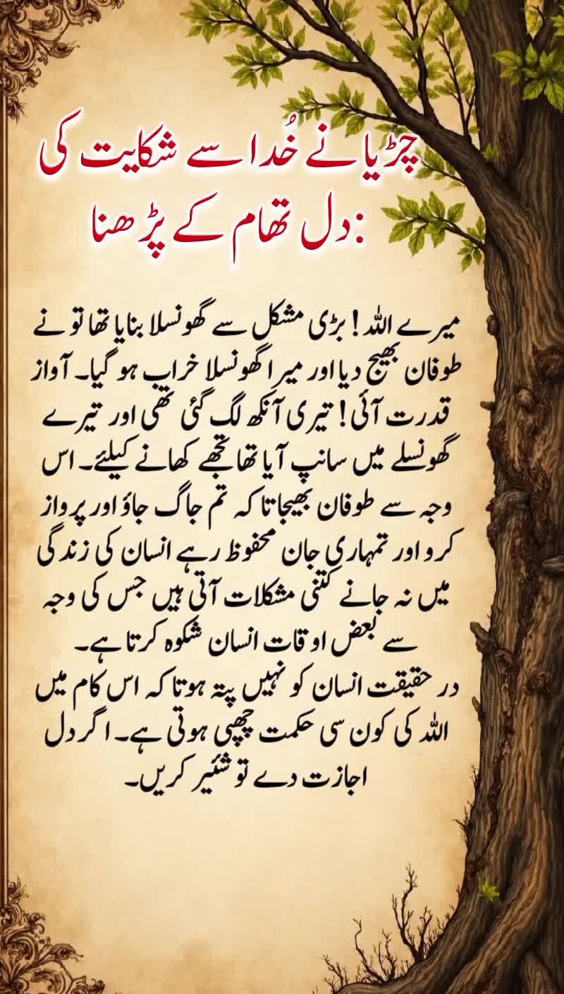 @Motivation Qoutes