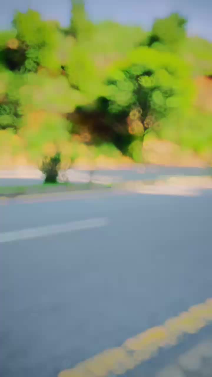 @wasitrajpoot